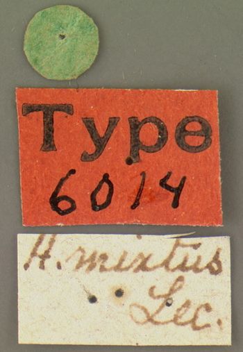 Media type: image;   Entomology 6014 Aspect: labels